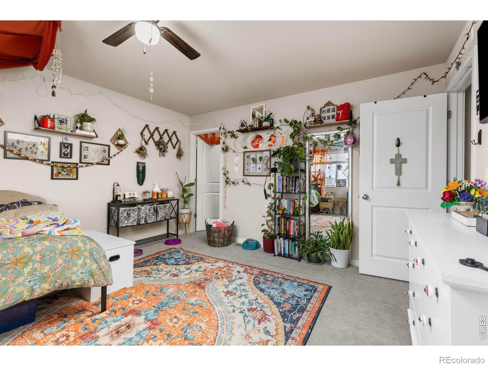 3801 Beech Tree Street Wellington CO 80549