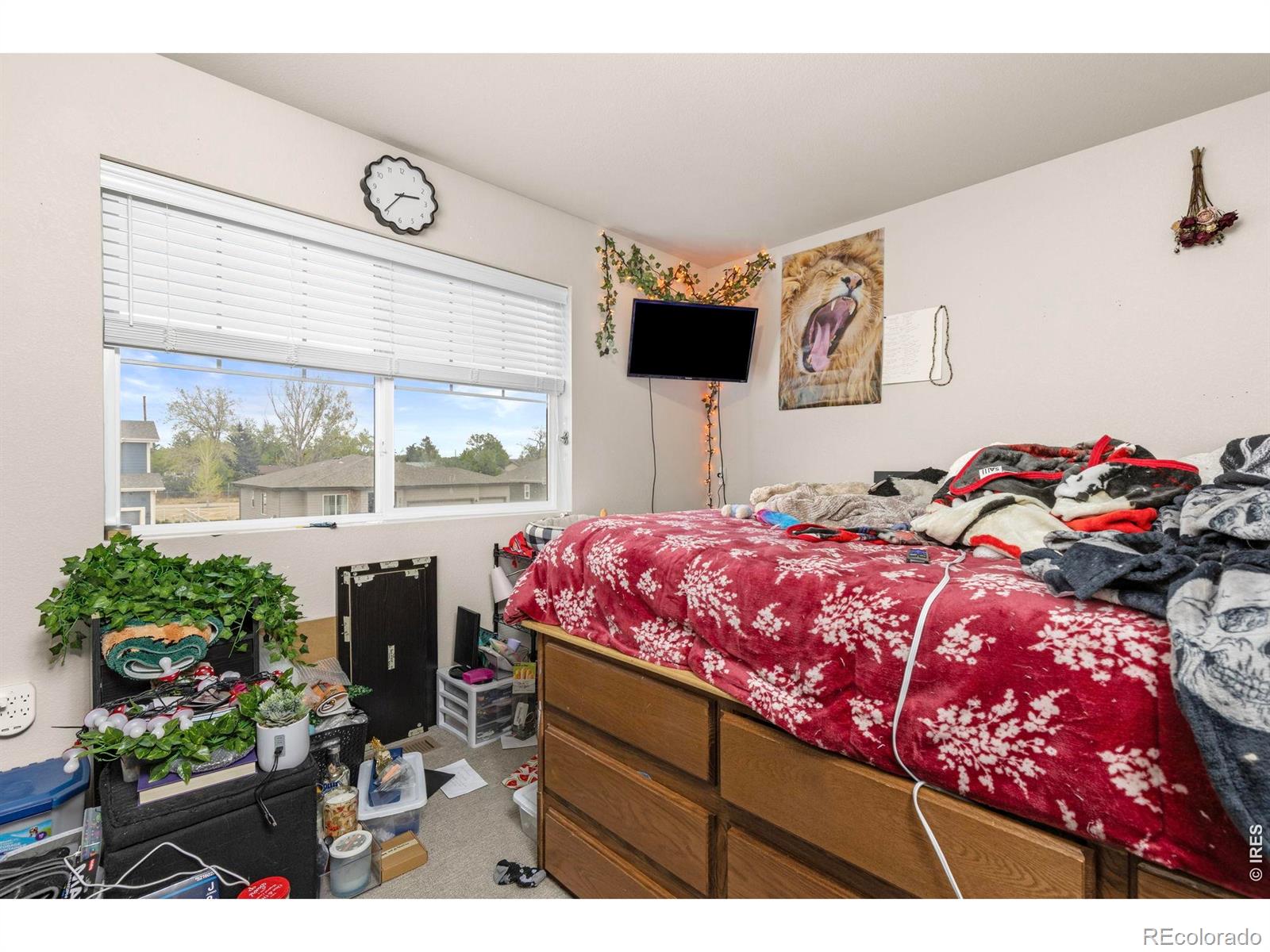 3801 Beech Tree Street Wellington CO 80549