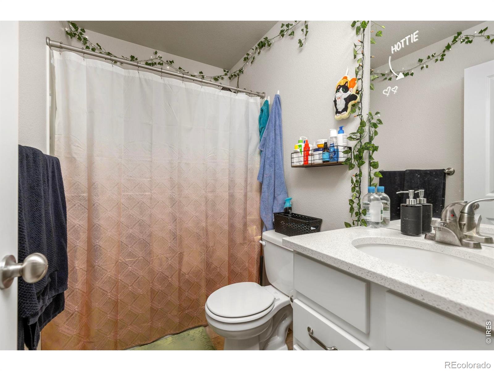 3801 Beech Tree Street Wellington CO 80549