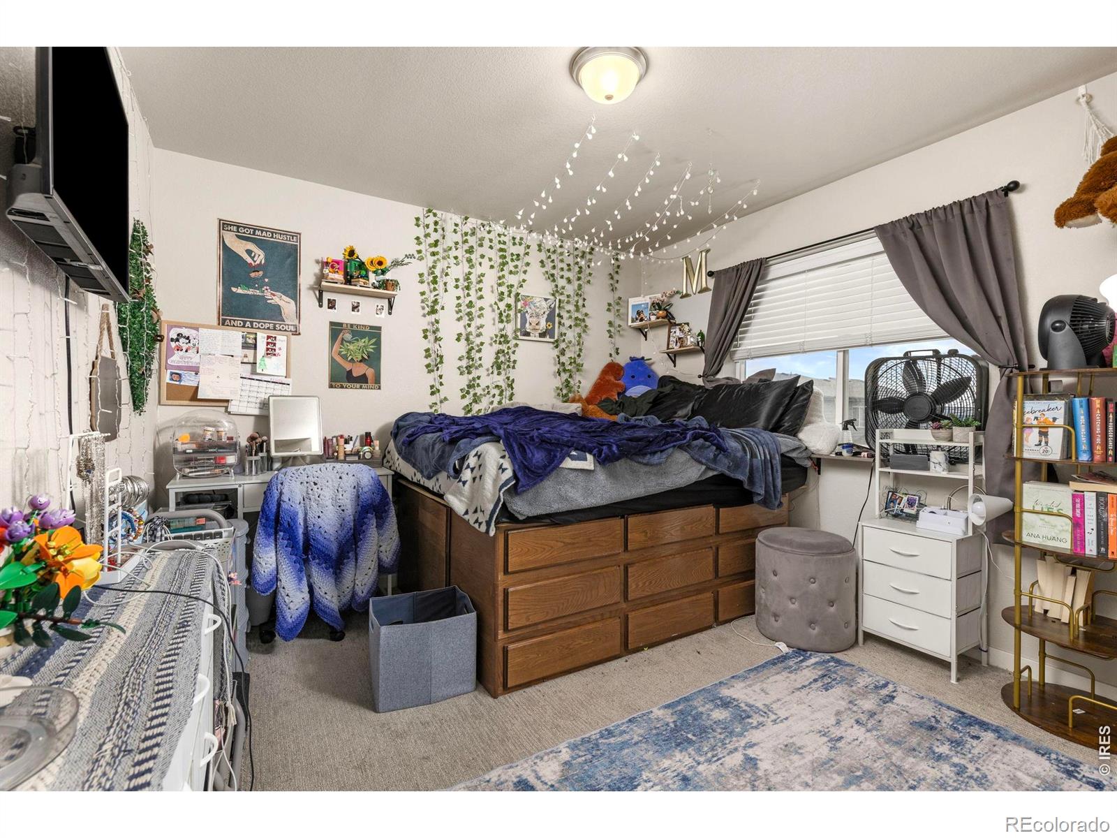 3801 Beech Tree Street Wellington CO 80549