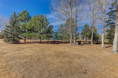 12972 Banyon Circle Parker CO 80134