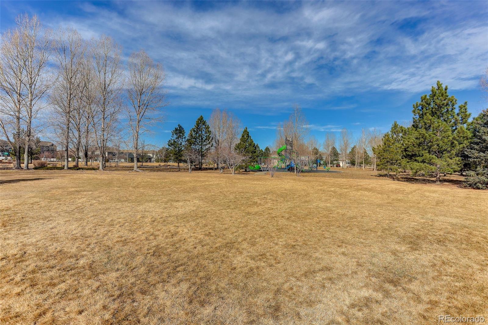 12972 Banyon Circle Parker CO 80134