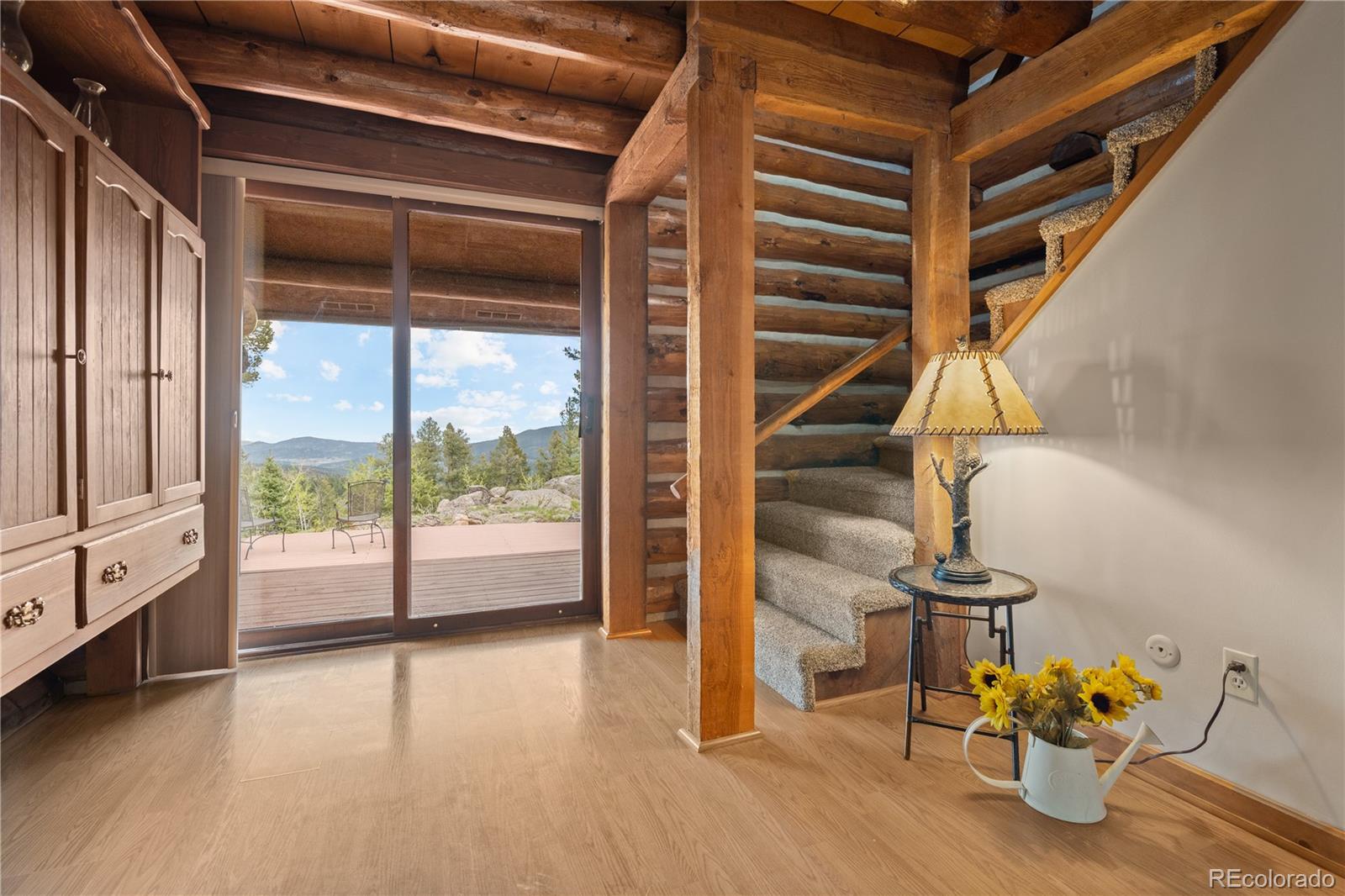 29611 Marys Drive Conifer CO 80433