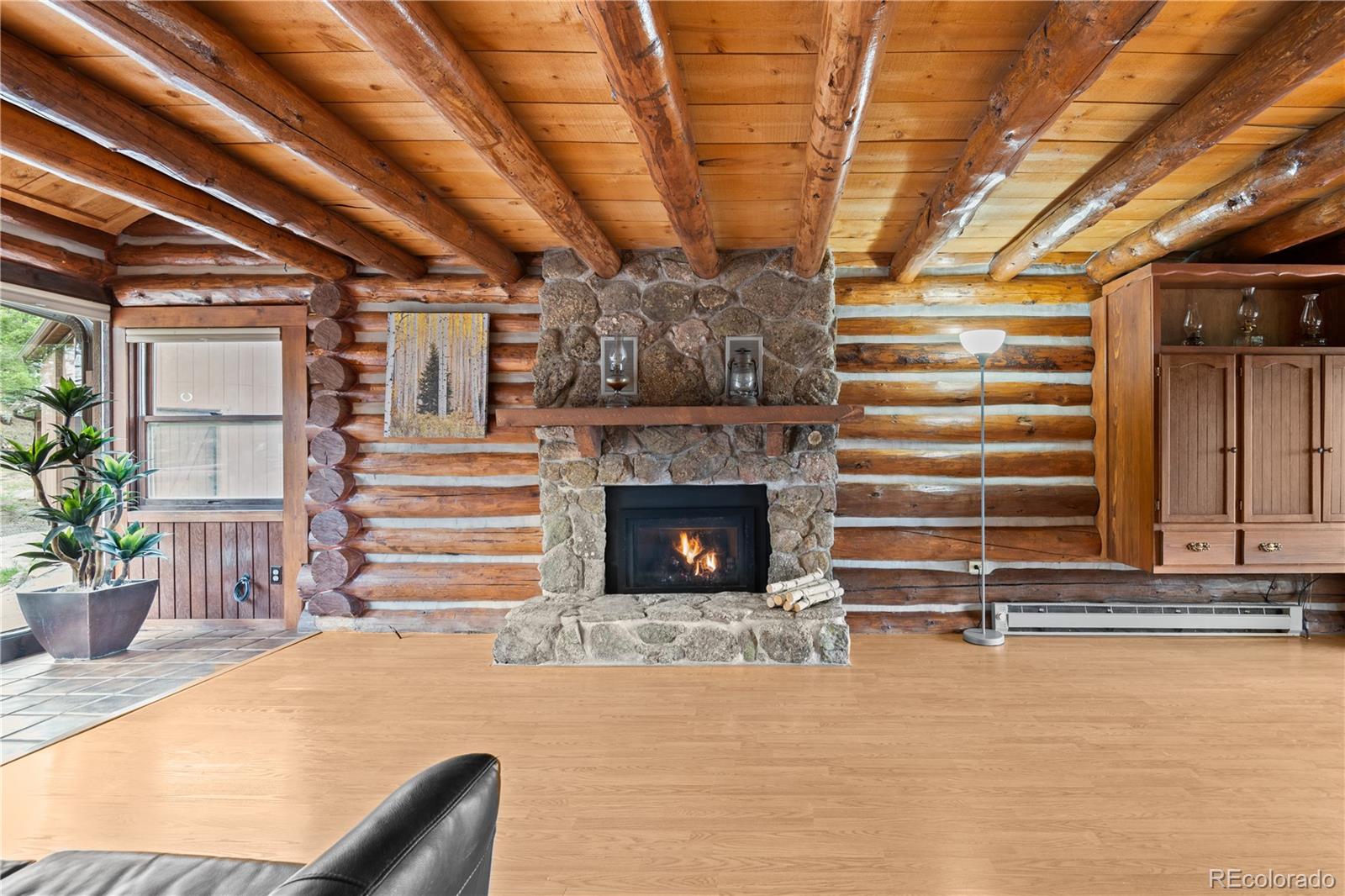 29611 Marys Drive Conifer CO 80433
