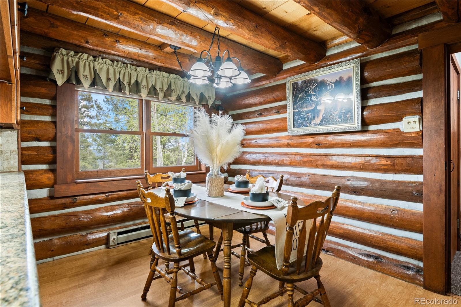 29611 Marys Drive Conifer CO 80433
