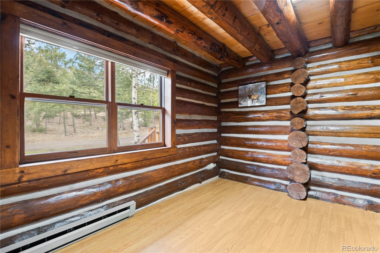 29611 Marys Drive Conifer CO 80433