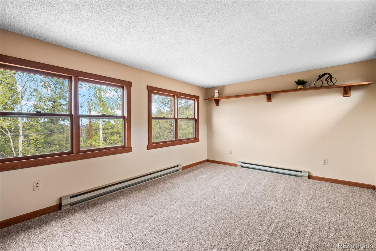 29611 Marys Drive Conifer CO 80433