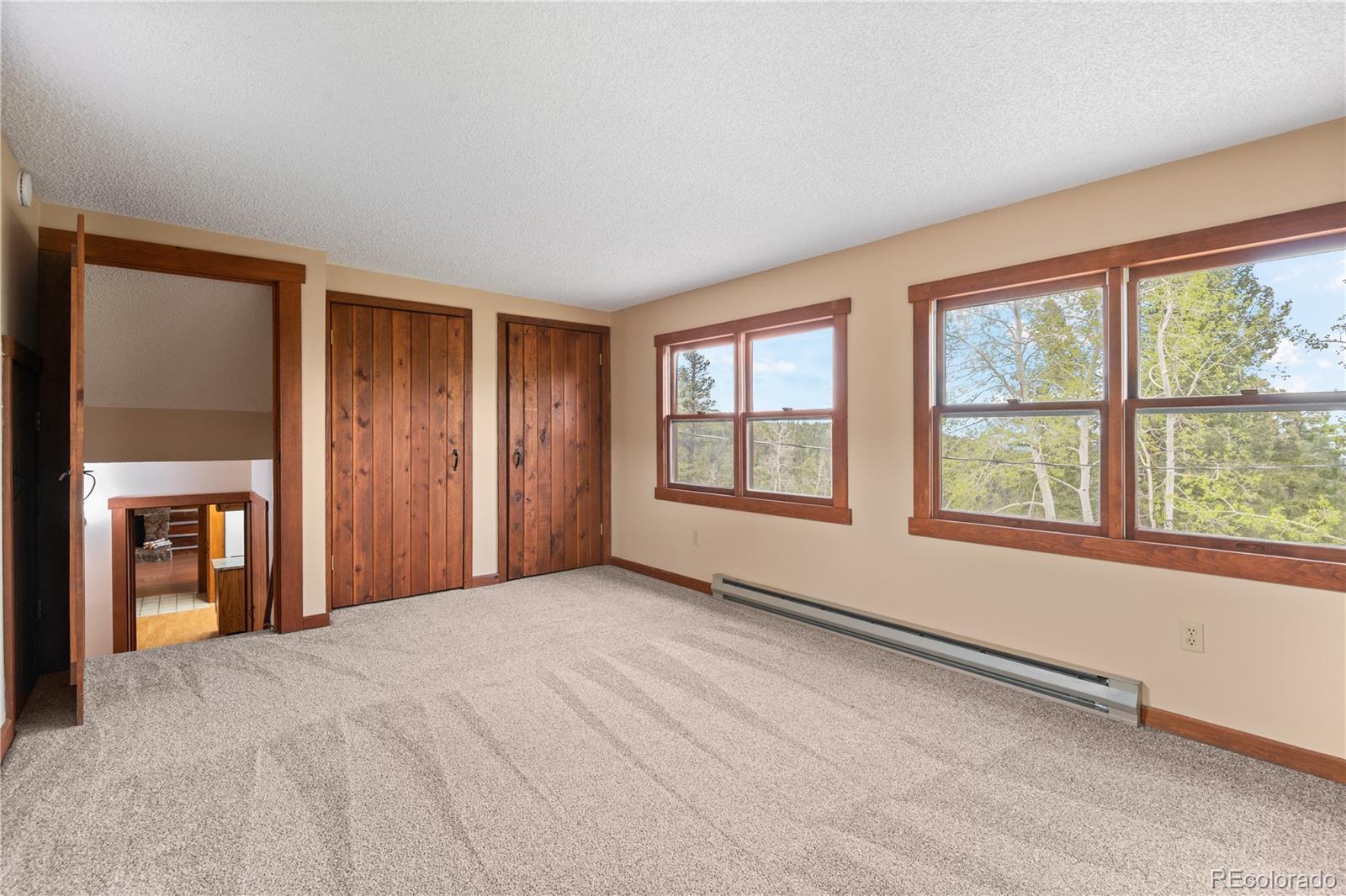 29611 Marys Drive Conifer CO 80433