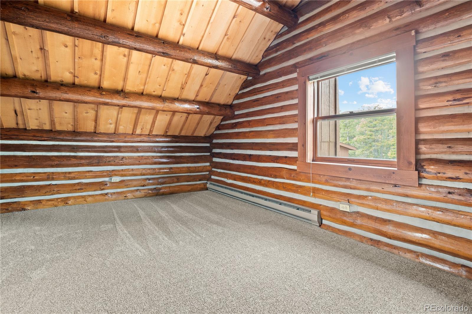 29611 Marys Drive Conifer CO 80433