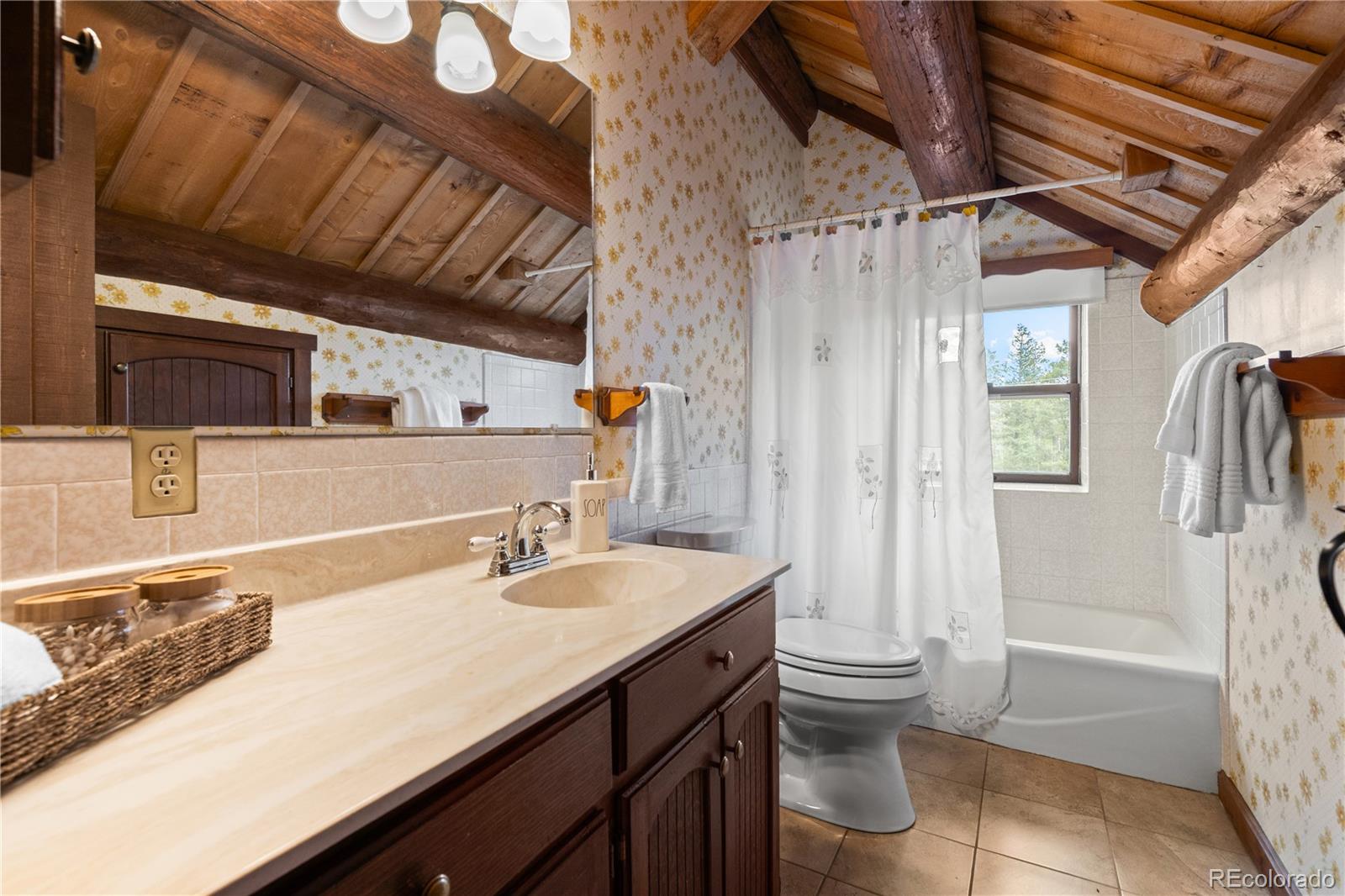 29611 Marys Drive Conifer CO 80433