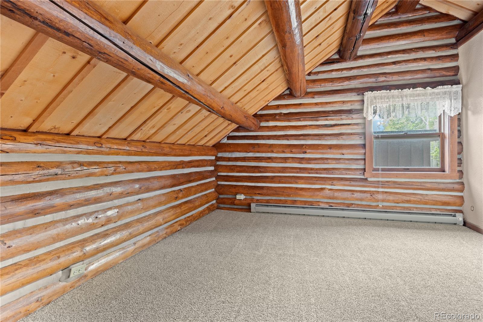 29611 Marys Drive Conifer CO 80433
