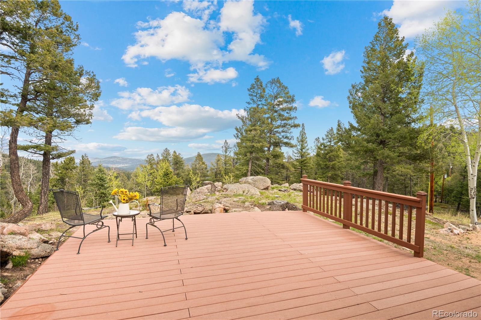29611 Marys Drive Conifer CO 80433