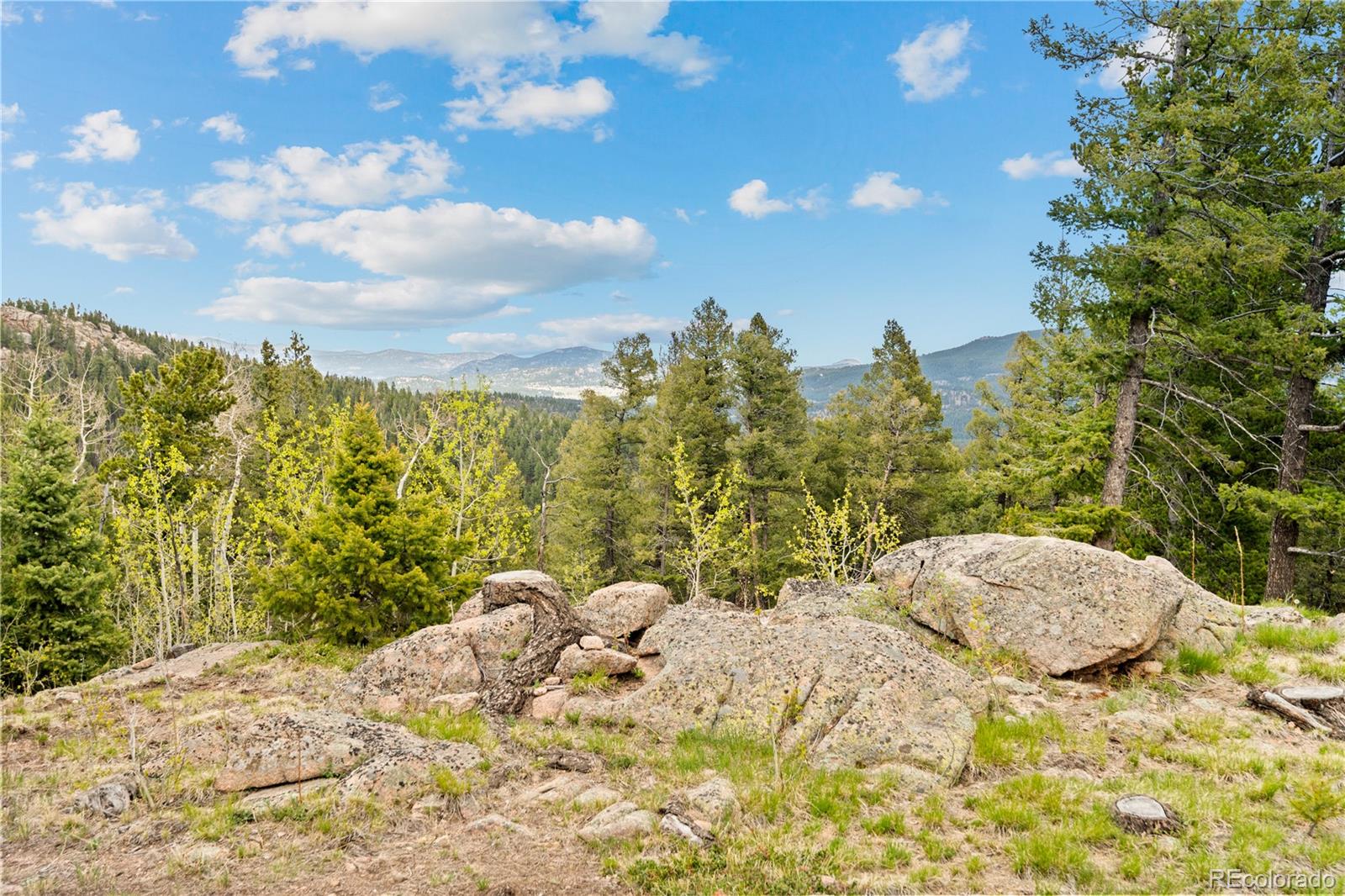29611 Marys Drive Conifer CO 80433