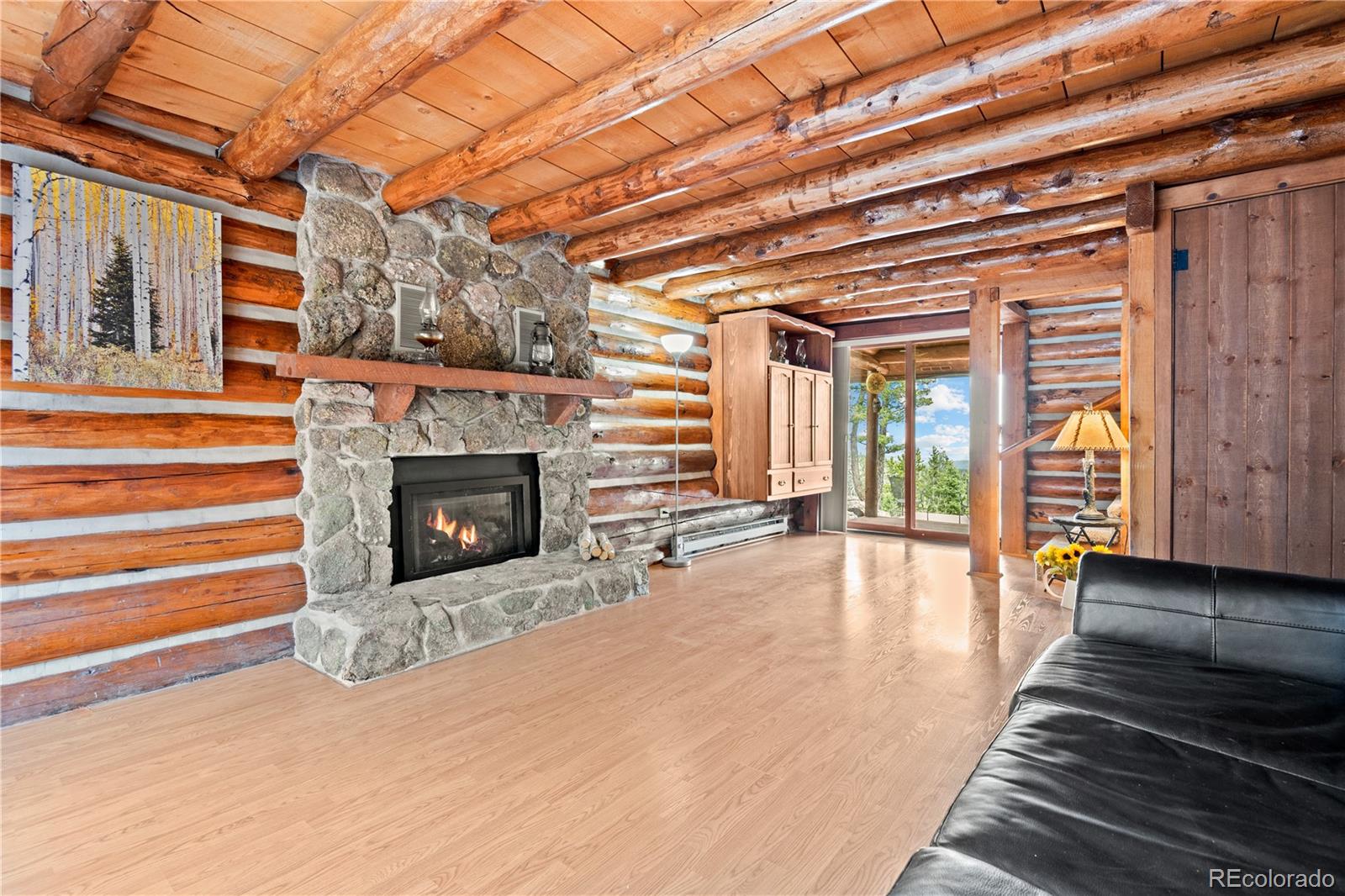 29611 Marys Drive Conifer CO 80433
