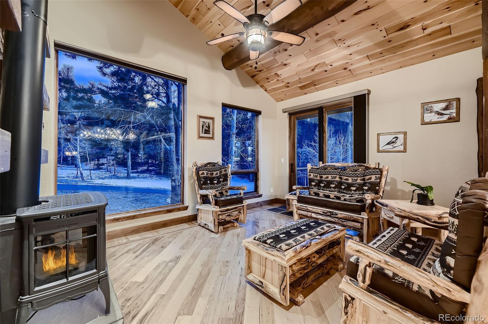 13116 S Noka Trail Pine CO 80470