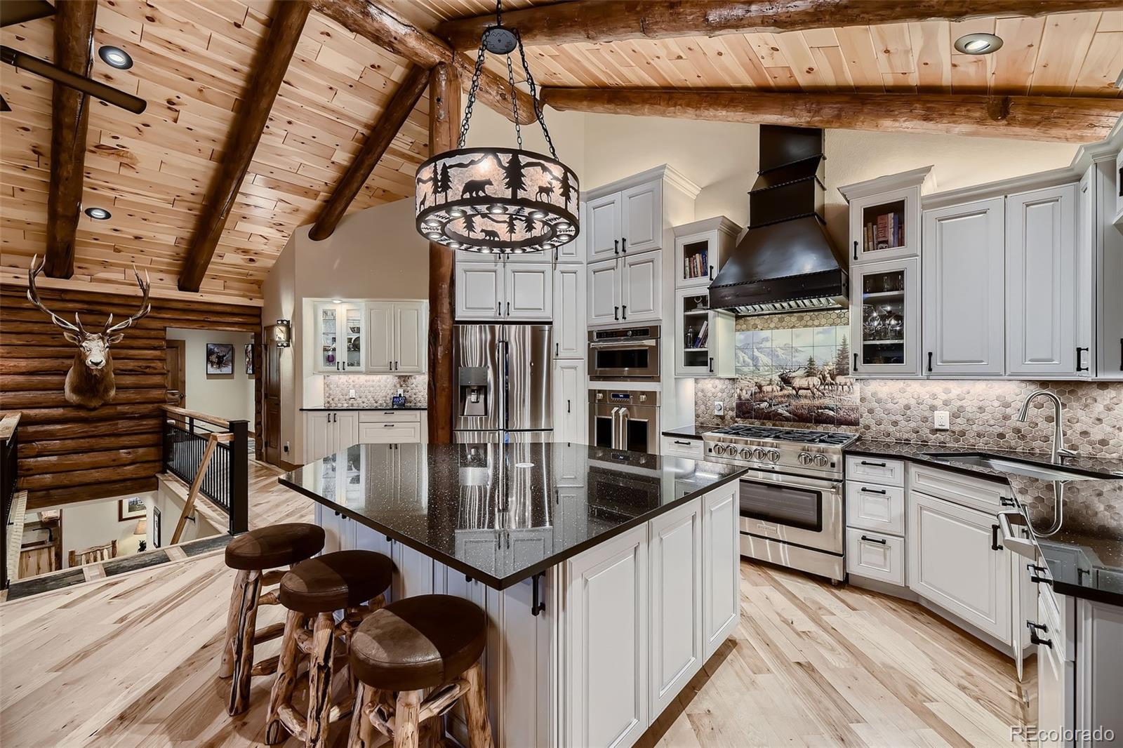 13116 S Noka Trail Pine CO 80470