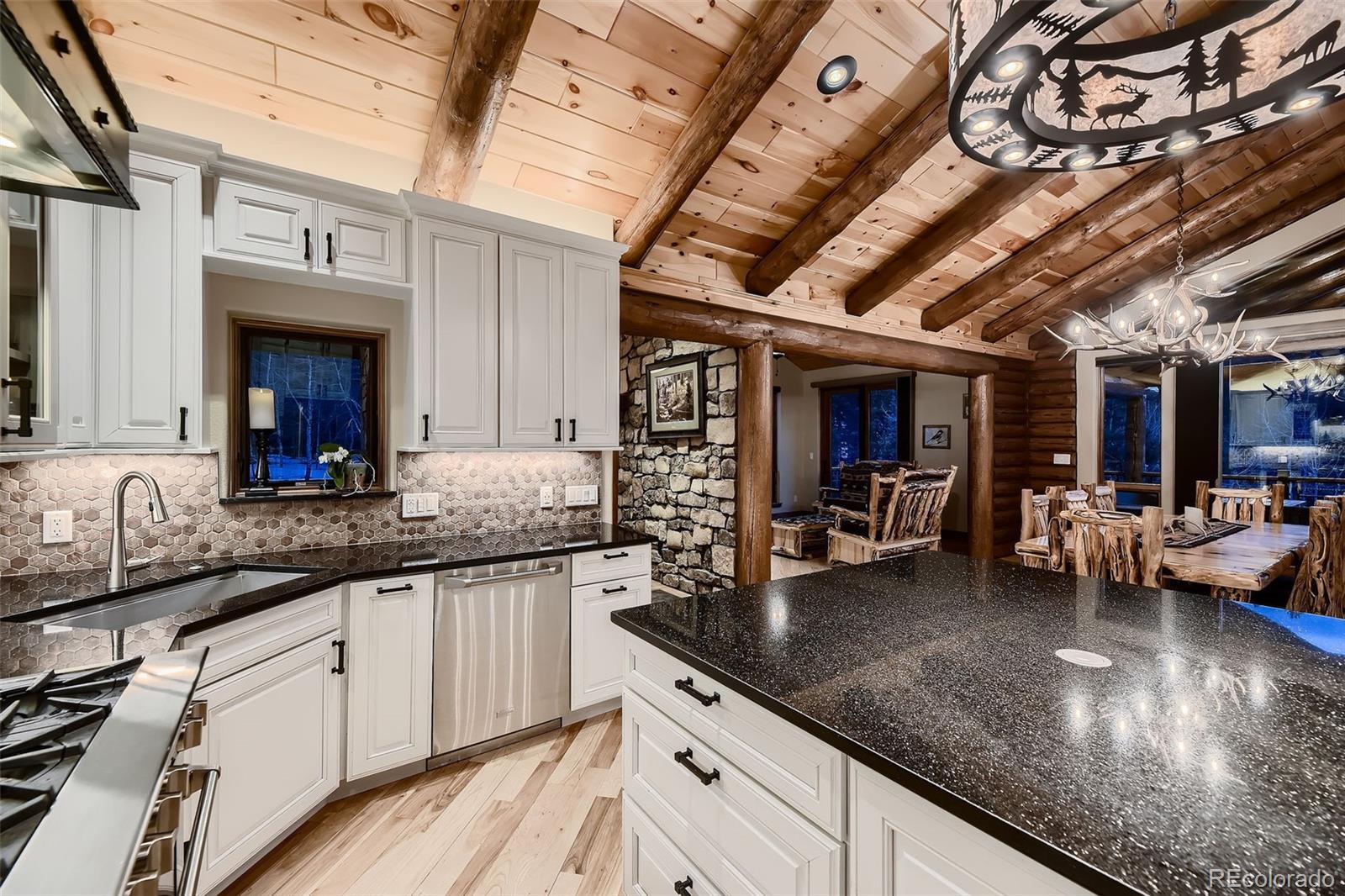 13116 S Noka Trail Pine CO 80470