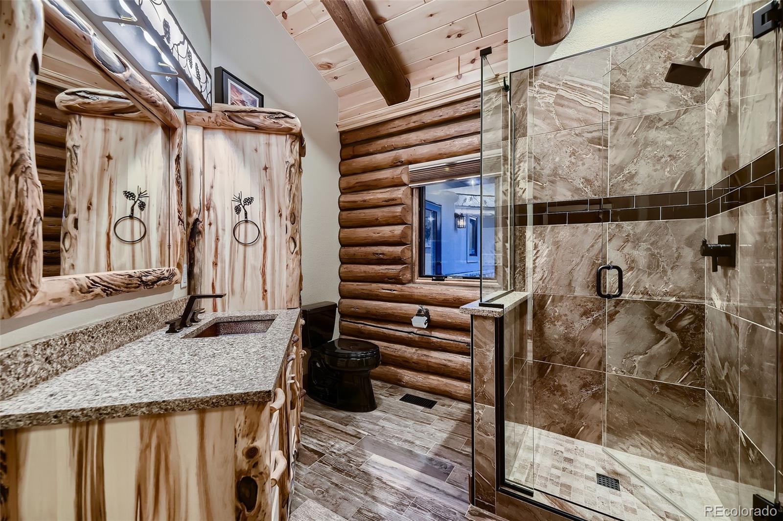 13116 S Noka Trail Pine CO 80470