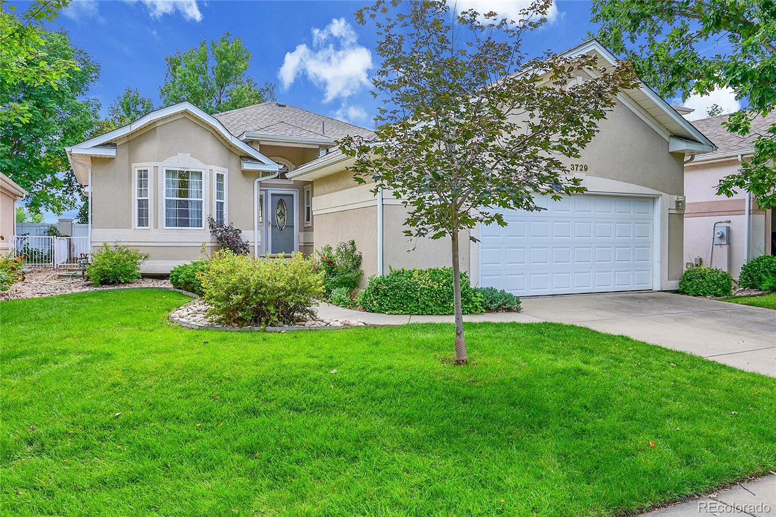 3729 Doral Drive Longmont CO 80503