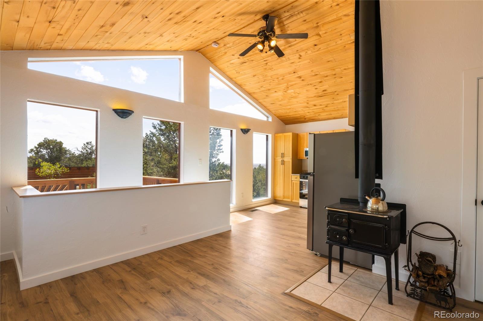 1477 E Badger Road Crestone CO 81131