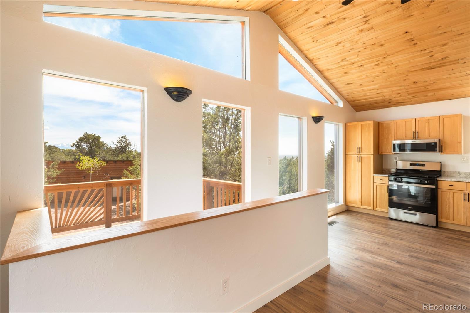1477 E Badger Road Crestone CO 81131