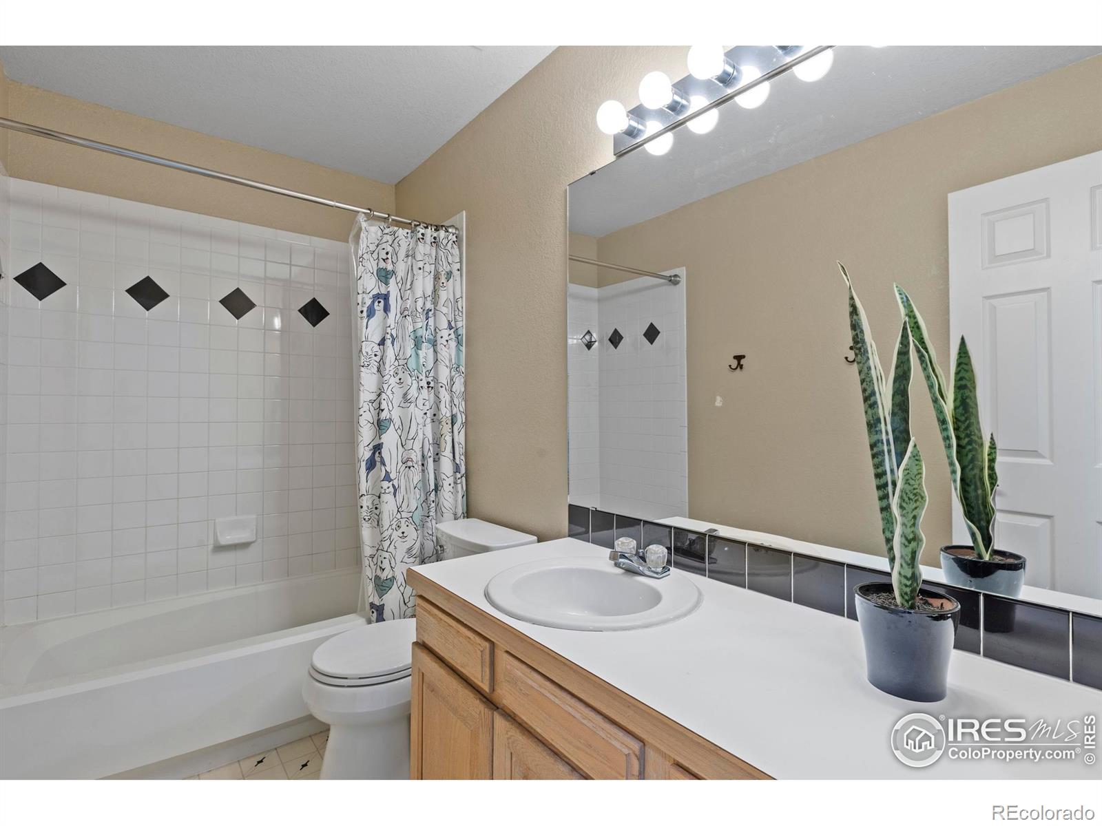4271 Southshore Court Fort Collins CO 80525