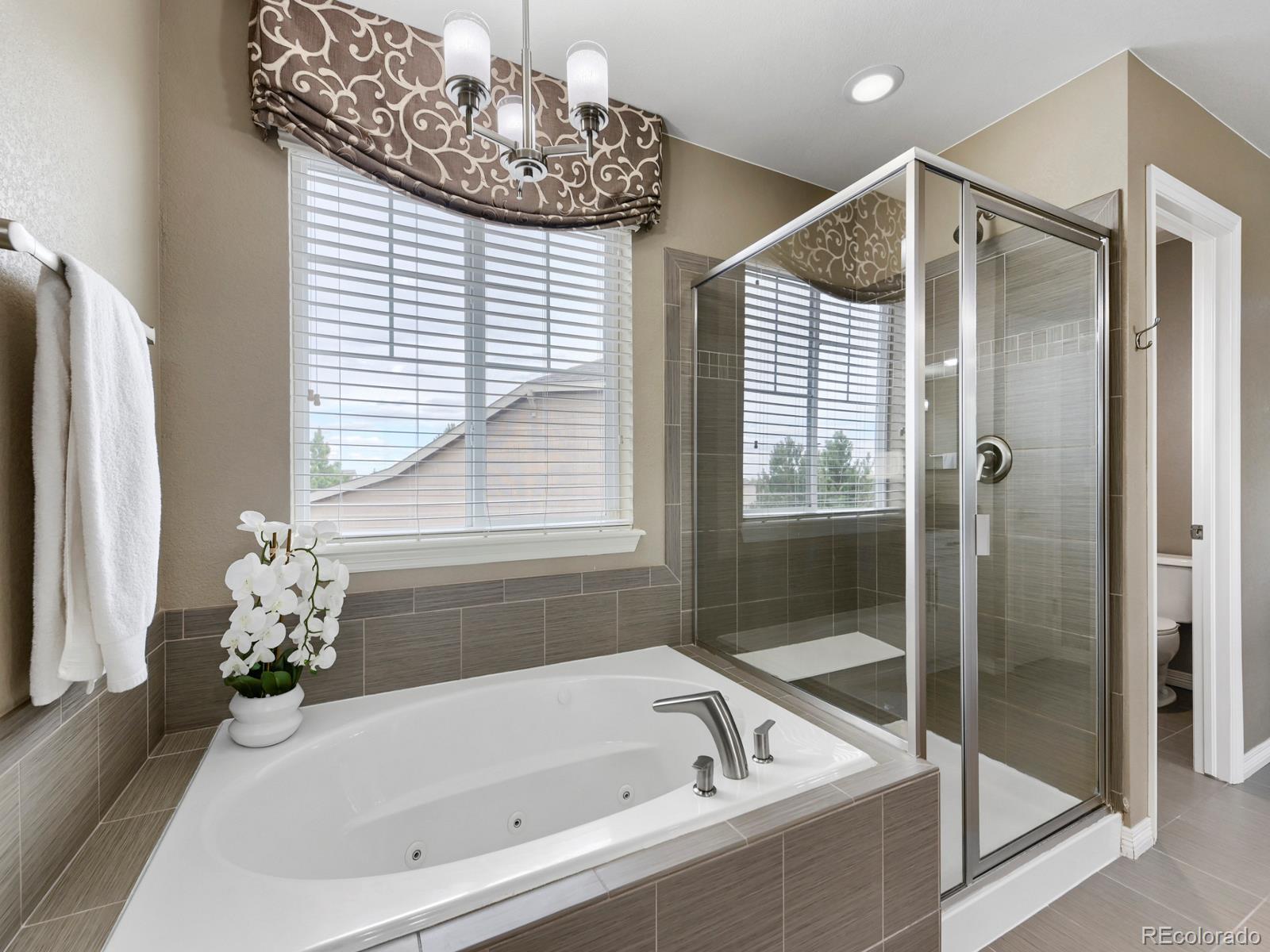 1004 Stanley Court Erie CO 80516