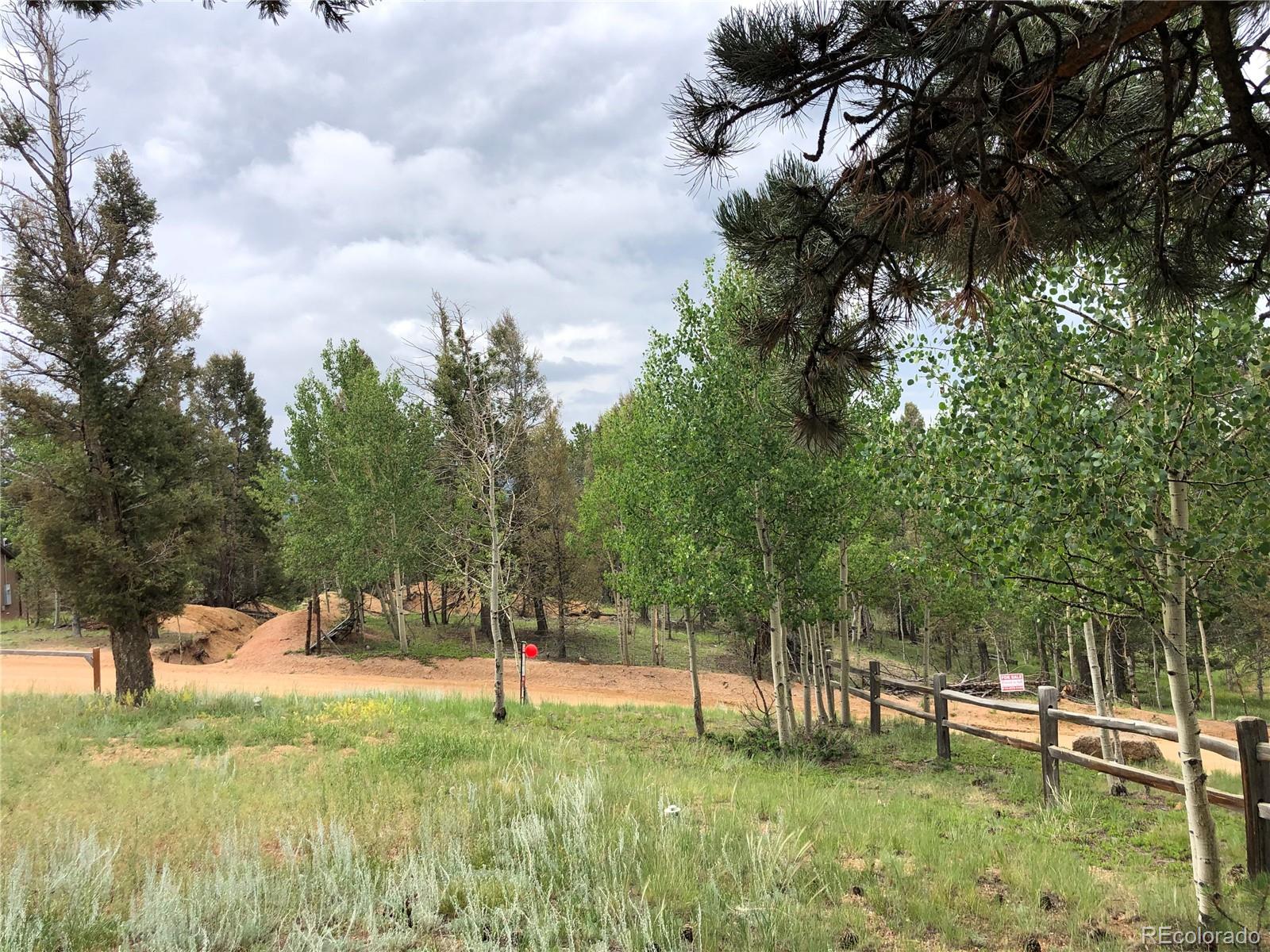 169 Daisy Street Woodland Park CO 80863
