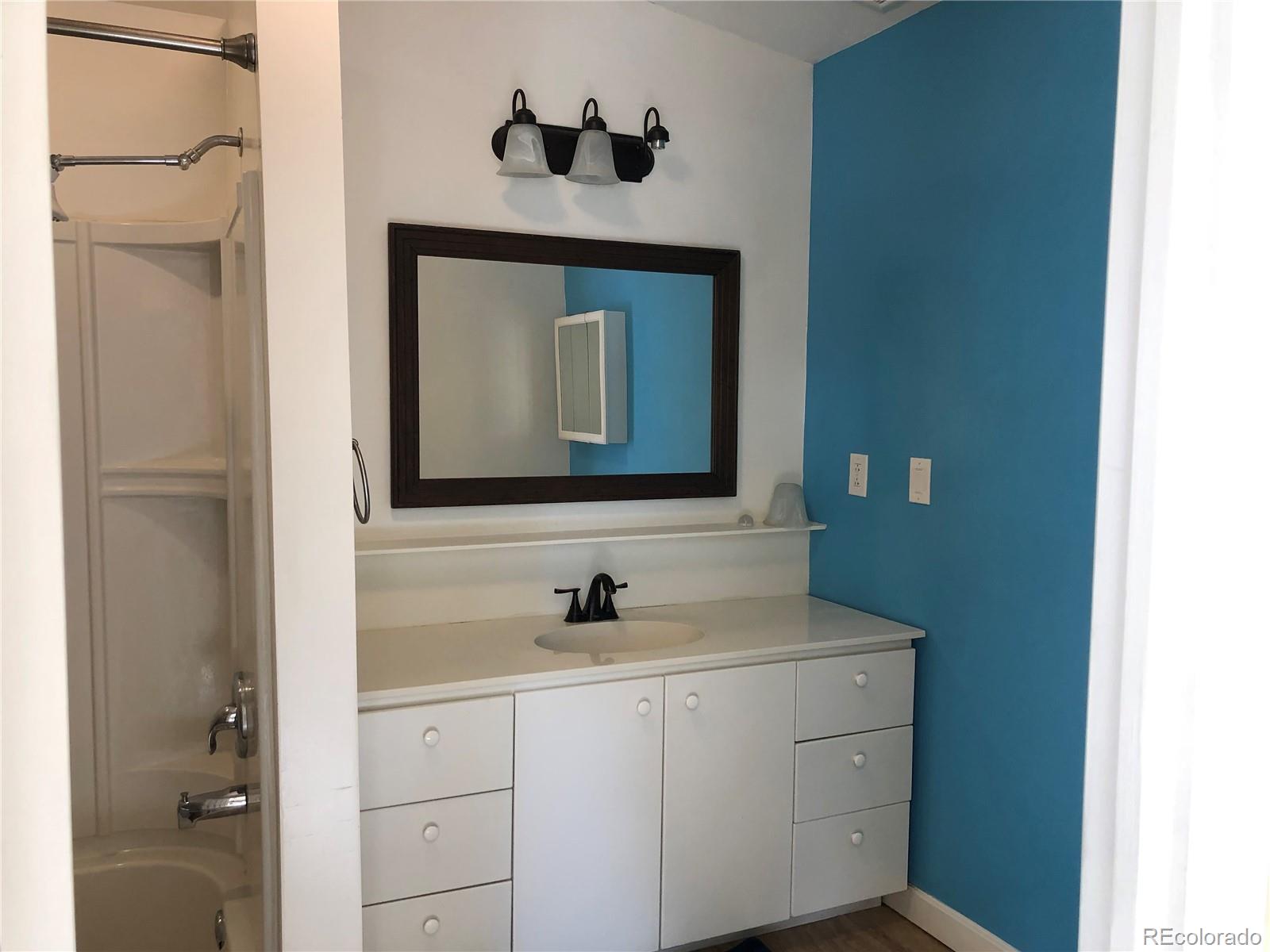 169 Daisy Street Woodland Park CO 80863