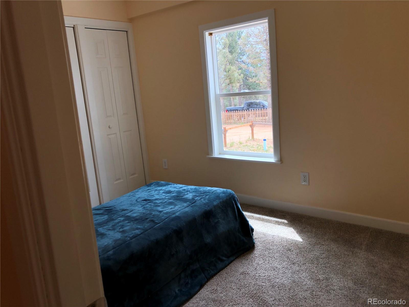 169 Daisy Street Woodland Park CO 80863