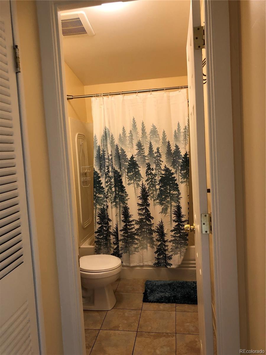 169 Daisy Street Woodland Park CO 80863