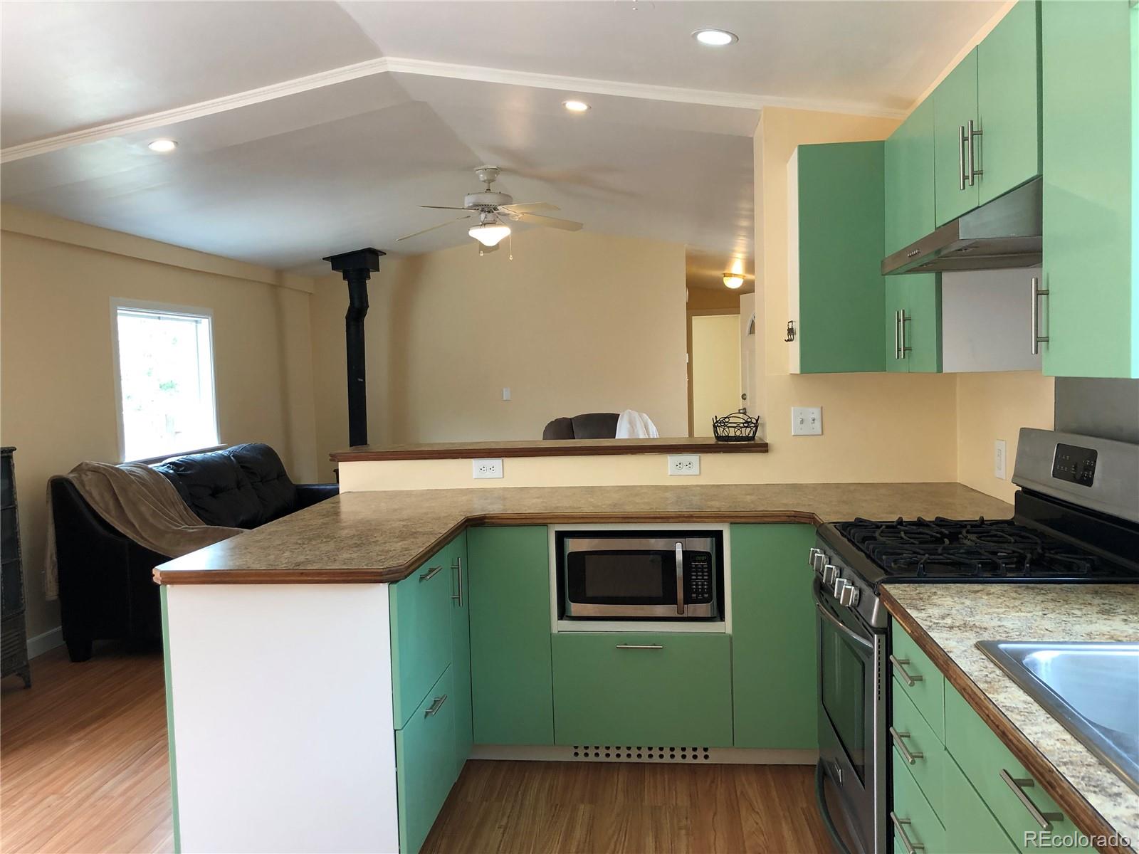169 Daisy Street Woodland Park CO 80863