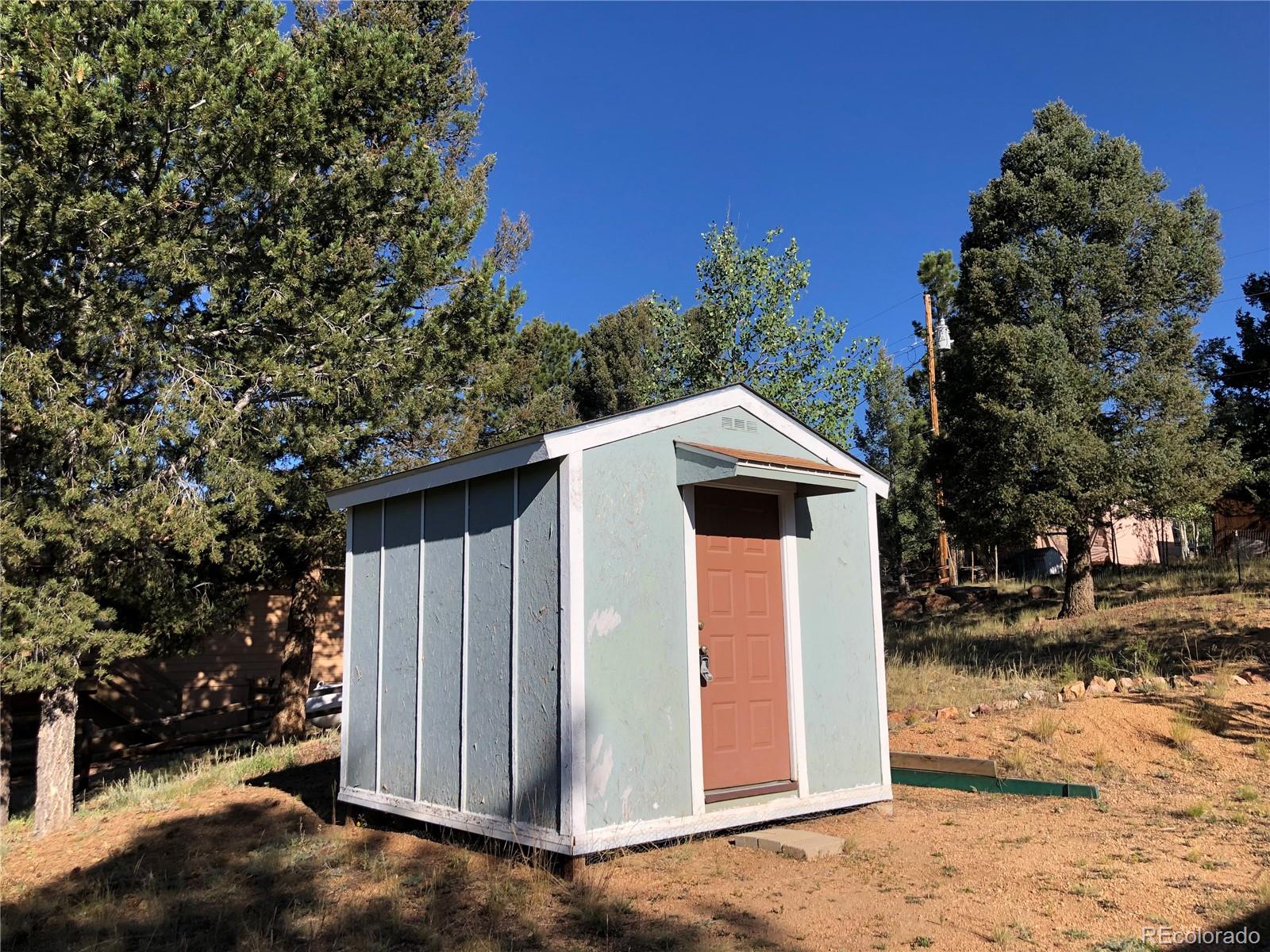 169 Daisy Street Woodland Park CO 80863