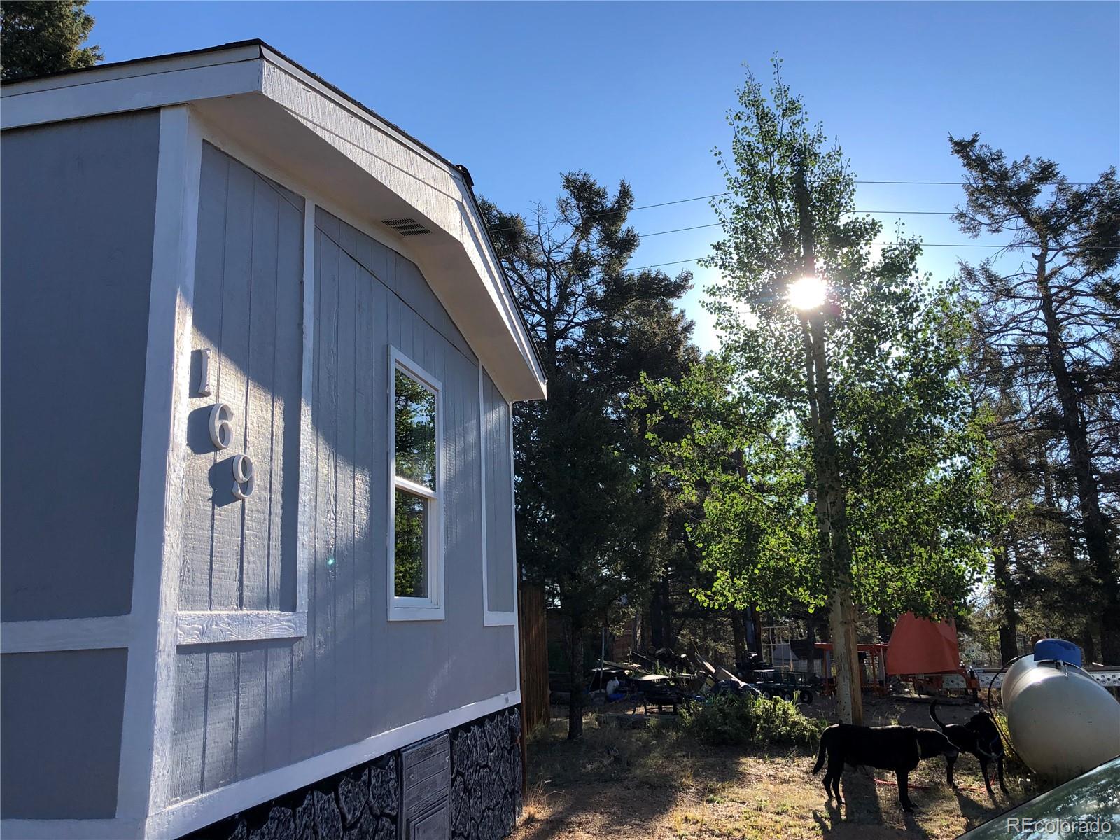 169 Daisy Street Woodland Park CO 80863