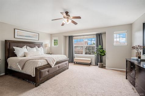 3644 Sunridge Terrace Drive Castle Rock CO 80109
