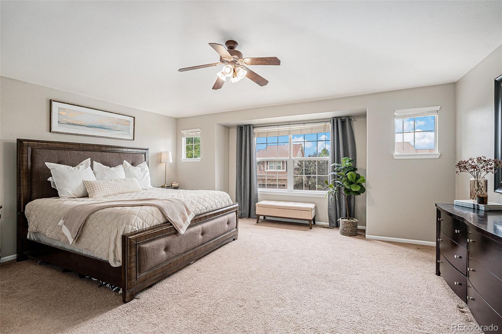 3644 Sunridge Terrace Drive Castle Rock CO 80109
