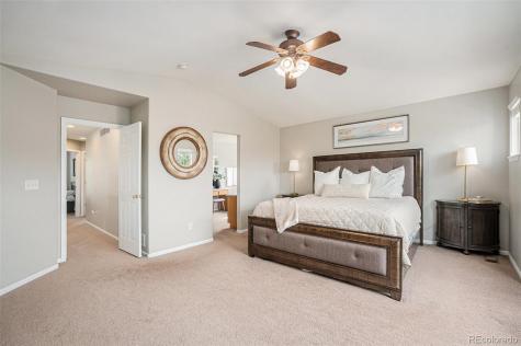 3644 Sunridge Terrace Drive Castle Rock CO 80109