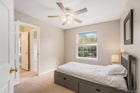 3644 Sunridge Terrace Drive Castle Rock CO 80109