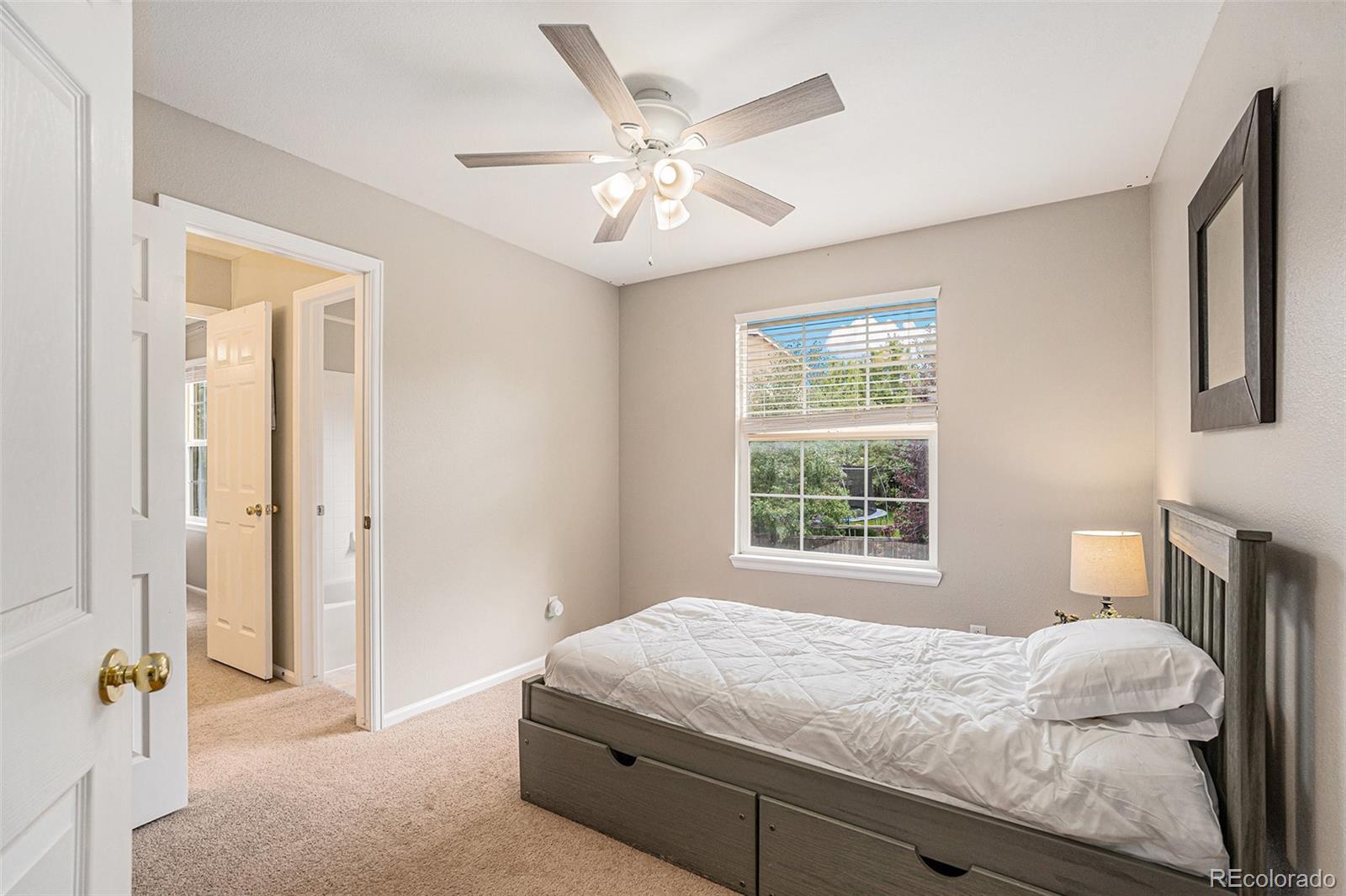 3644 Sunridge Terrace Drive Castle Rock CO 80109