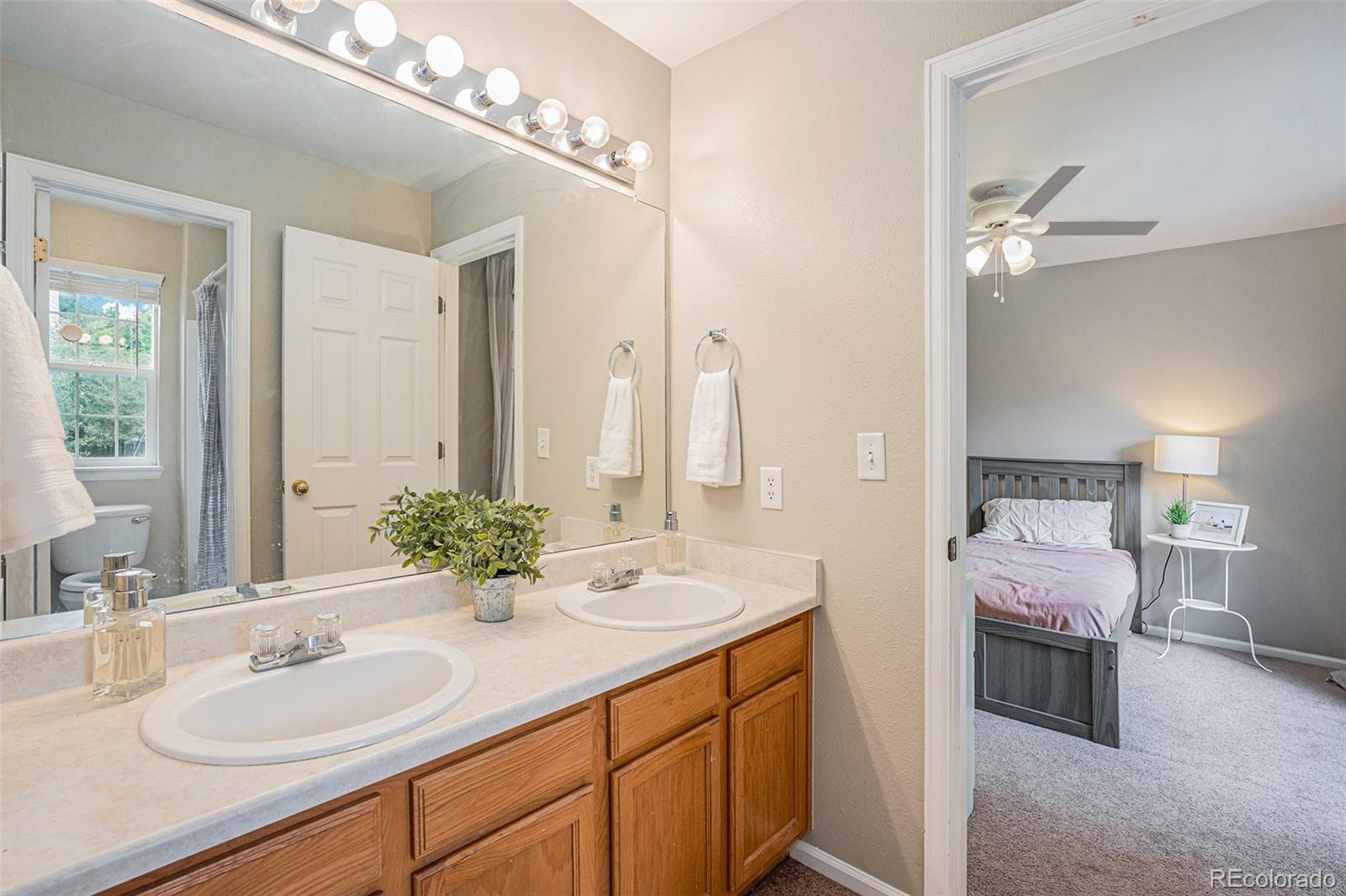 3644 Sunridge Terrace Drive Castle Rock CO 80109