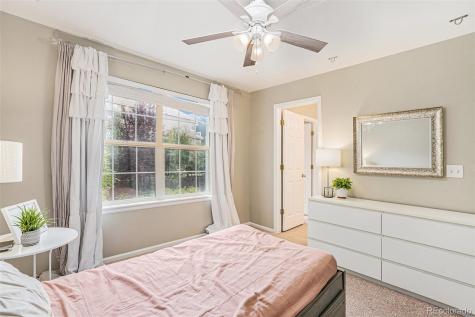 3644 Sunridge Terrace Drive Castle Rock CO 80109