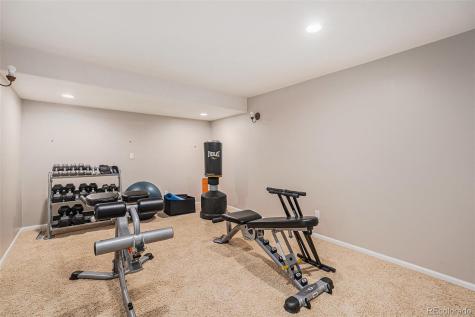 3644 Sunridge Terrace Drive Castle Rock CO 80109