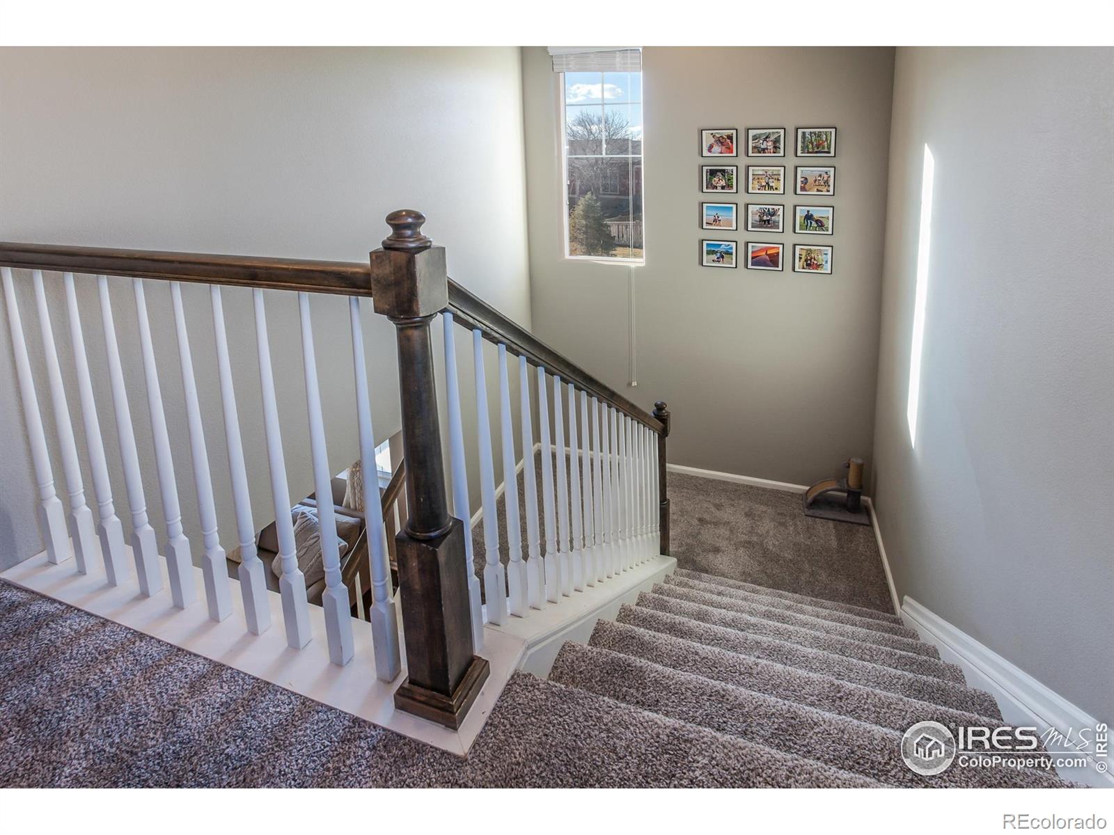 5455 Eagle Creek Drive Timnath CO 80547