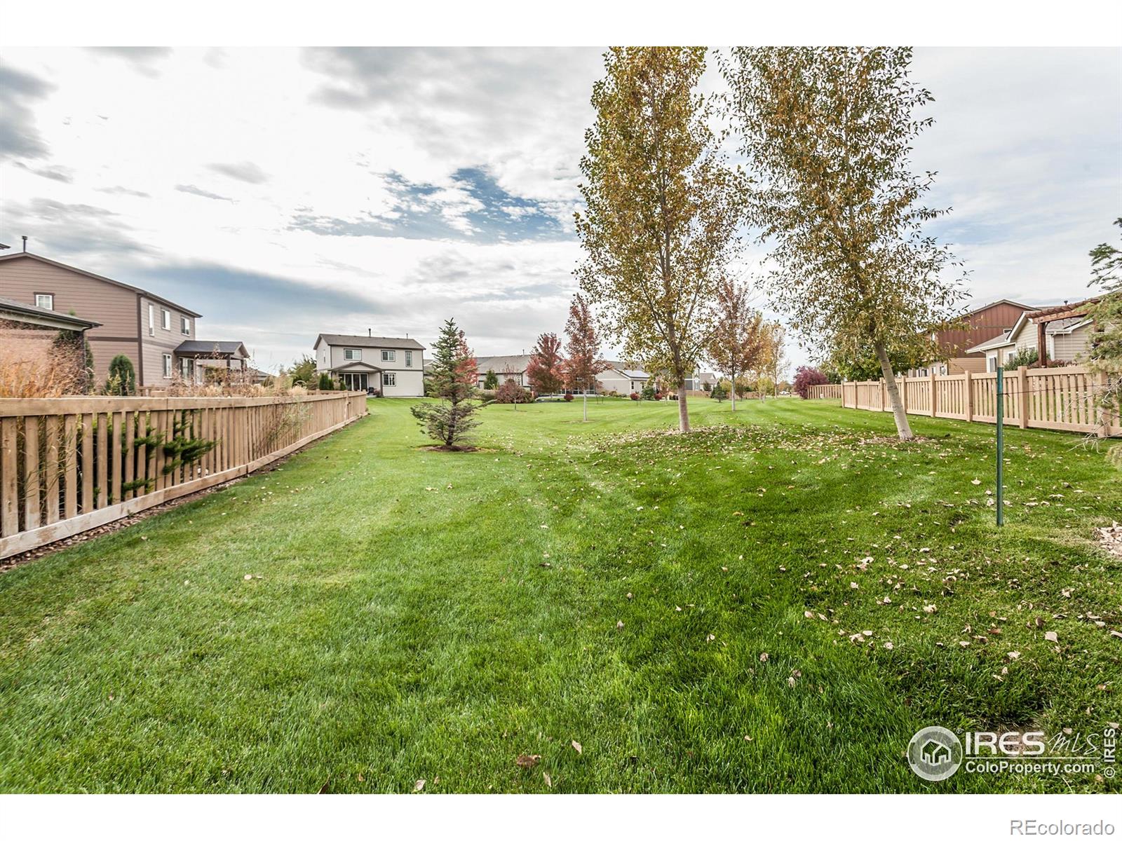 5455 Eagle Creek Drive Timnath CO 80547