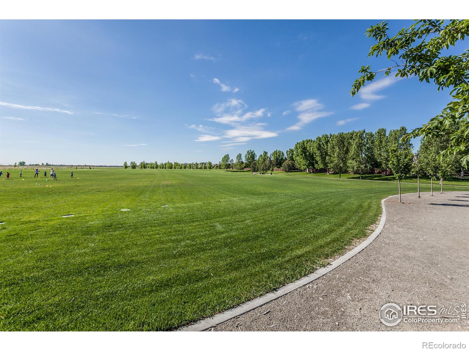 5455 Eagle Creek Drive Timnath CO 80547