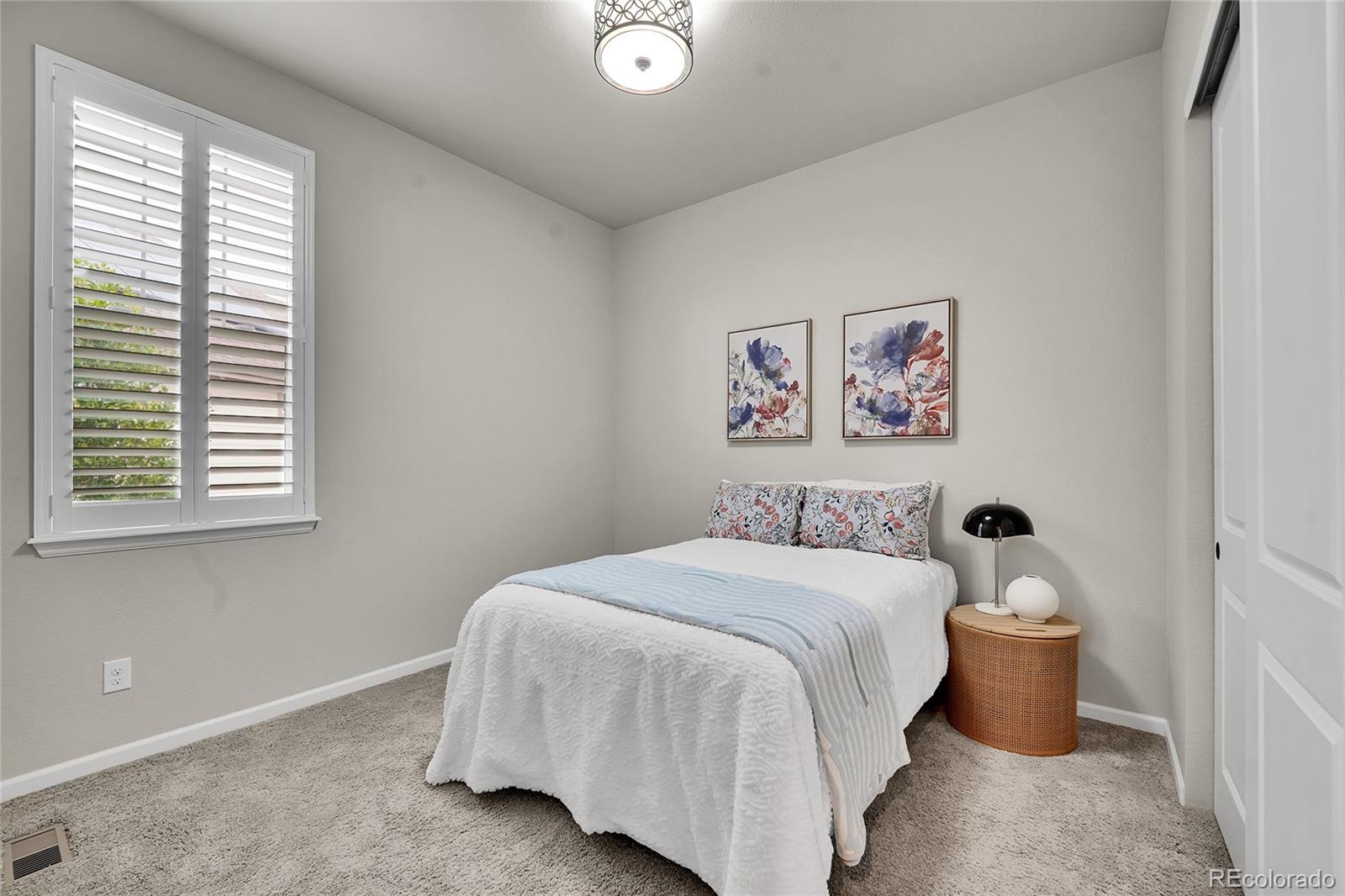 3429 Goodyear Street Castle Rock CO 80109