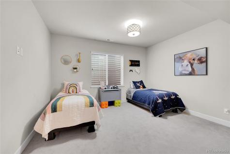 3429 Goodyear Street Castle Rock CO 80109