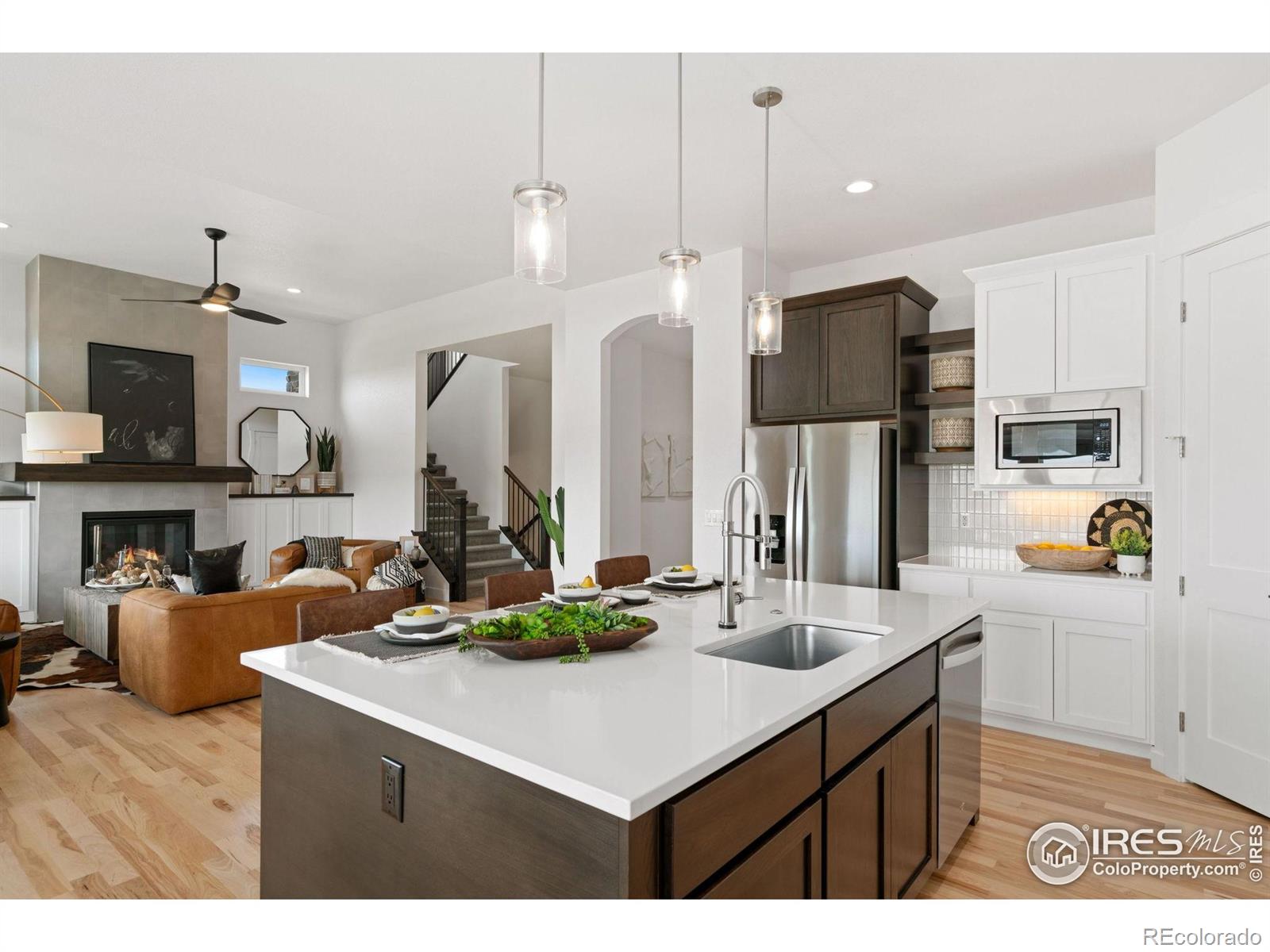 3691 N Buchanan Court Aurora CO 80019