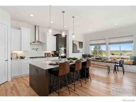 3691 N Buchanan Court Aurora CO 80019