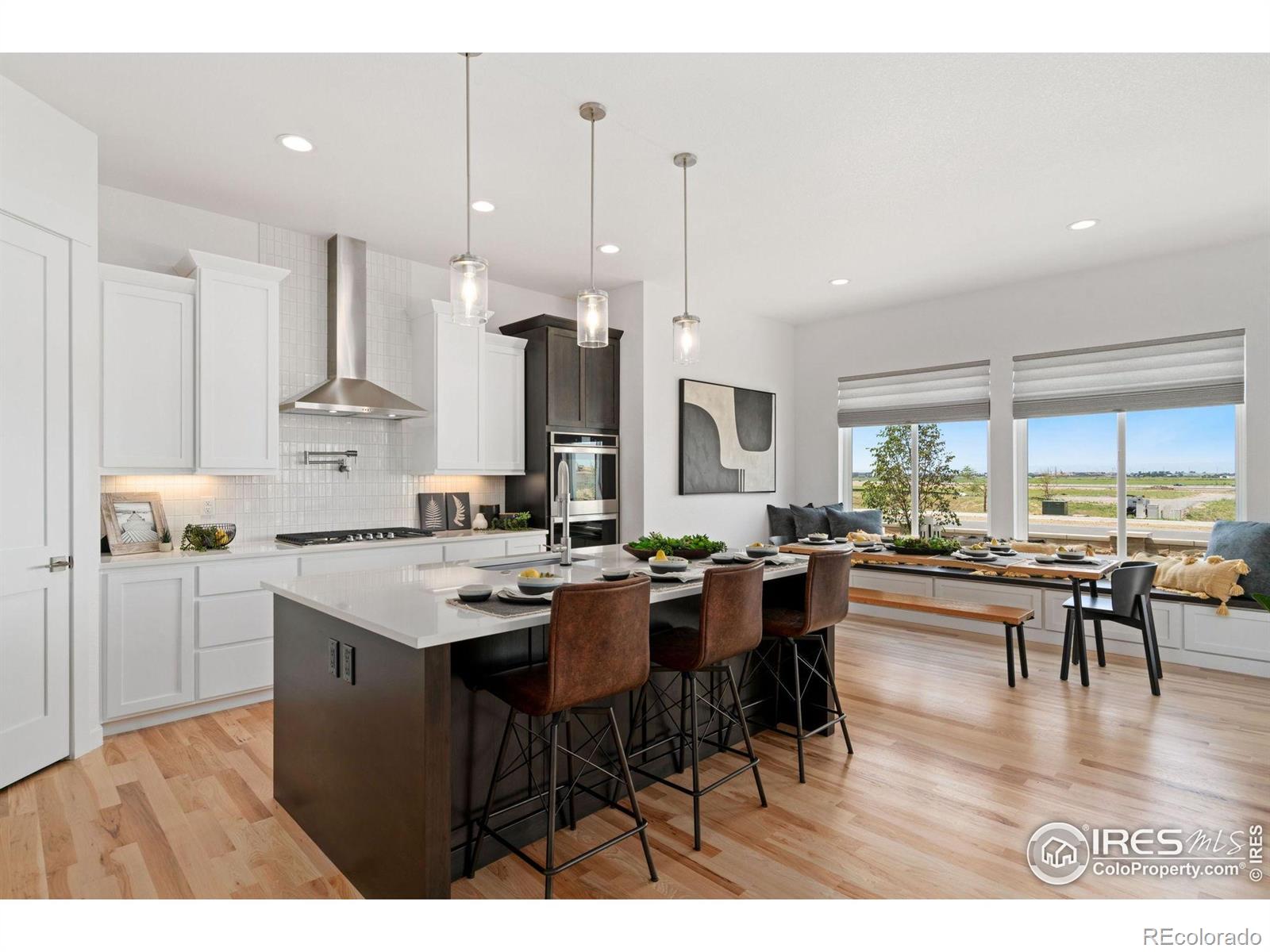 3691 N Buchanan Court Aurora CO 80019